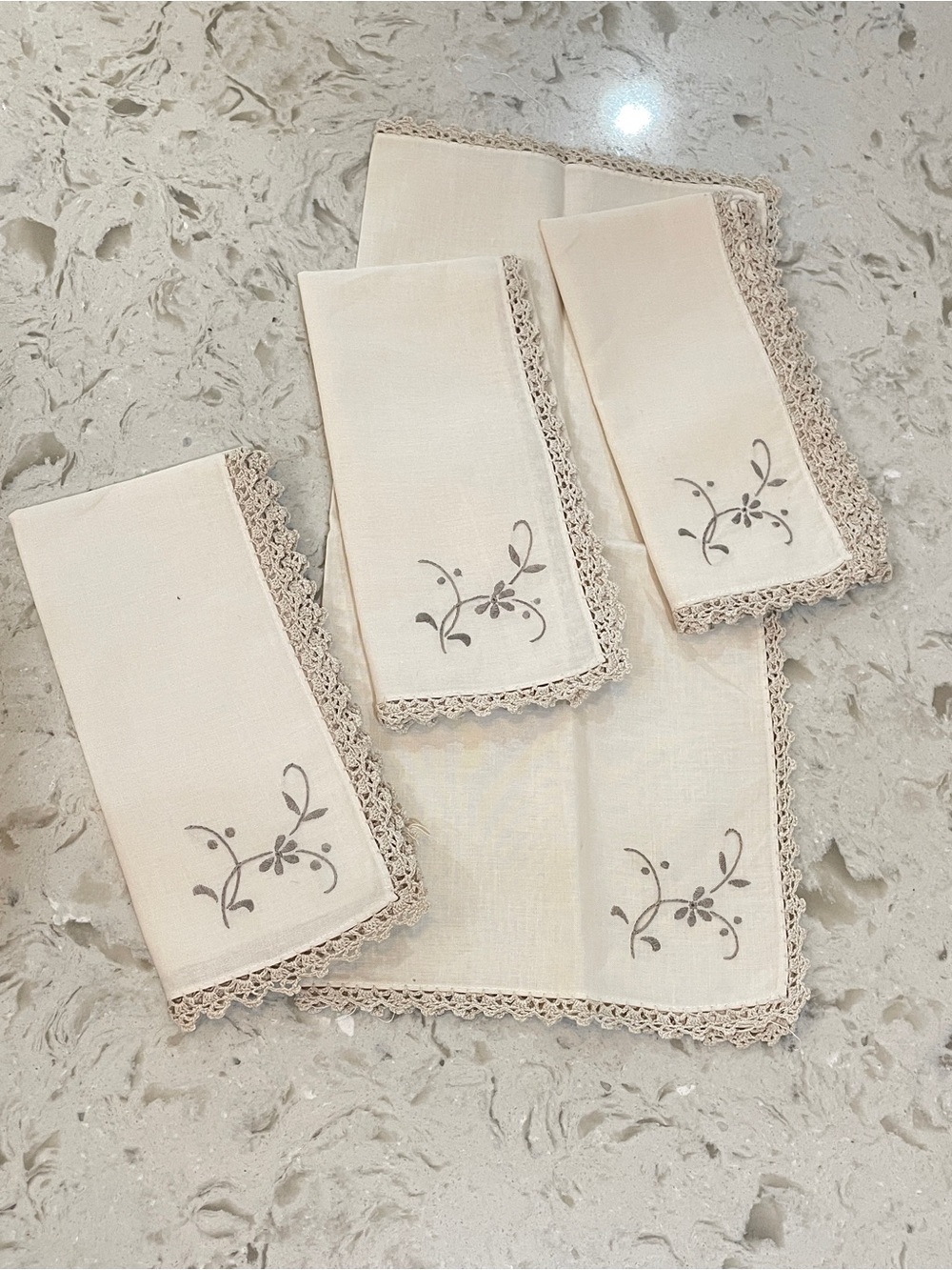 Elegant Taupe Embroidered Napkin Set with Crochet Edge